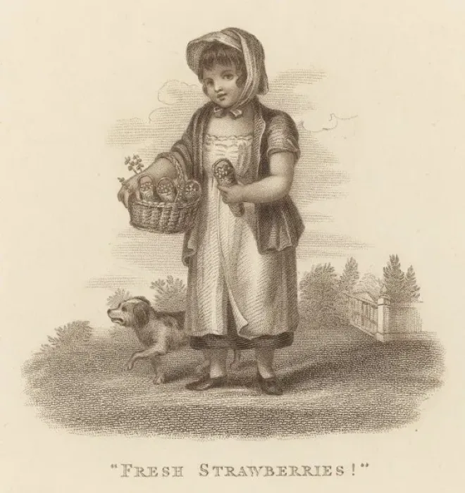 Framed Print : Girl Sells Strawberries Framed Print : Girl Sells Strawberries