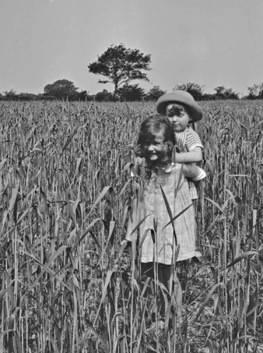 Framed Print : Girl and toddler in a cornfield Framed Print : Girl and toddler in a cornfield