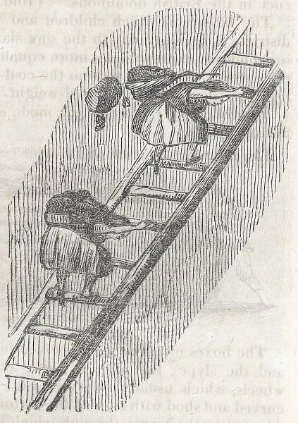 Girls on Ladders. GIRLS CARRYING COAL UP LADDERS Mary Duncan began to carry