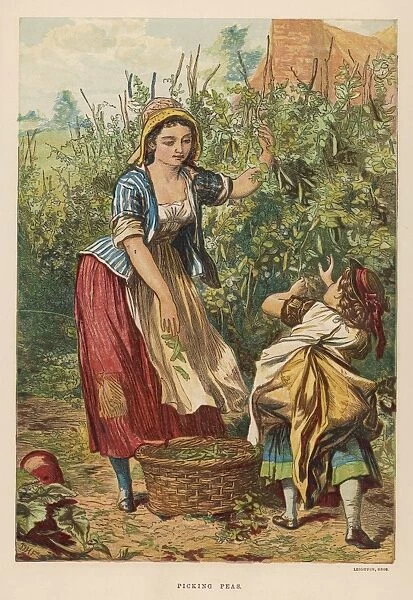 Girls Pick Peas 1873