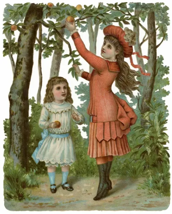 Framed Print : Girls Picking Apples Framed Print : Girls Picking Apples