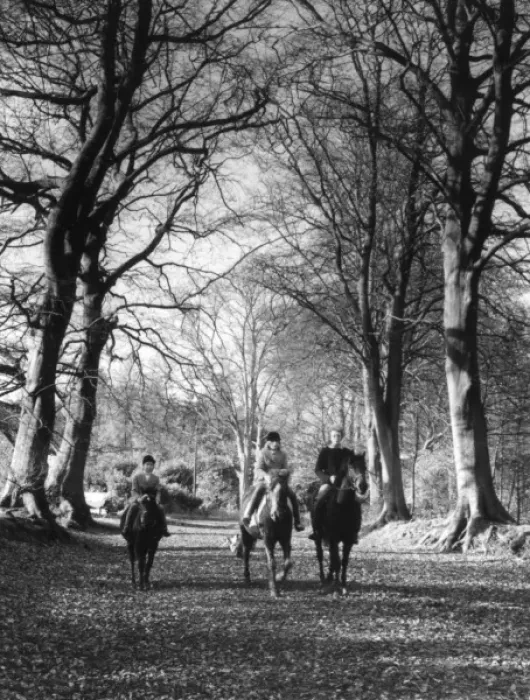 Framed Print : Girls Riding Horses Framed Print : Girls Riding Horses