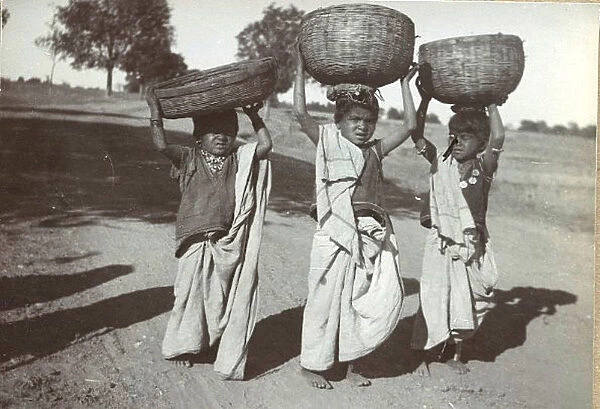 Three girls working in the fields, India