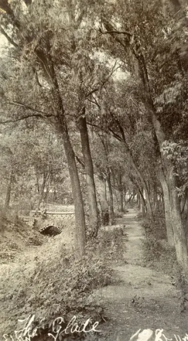 Framed Print : A glade in Tientsin (Tianjin), China Framed Print : A glade in Tientsin (Tianjin), China