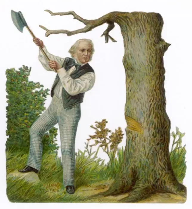 Framed Print : Gladstone Fells a Tree Framed Print : Gladstone Fells a Tree