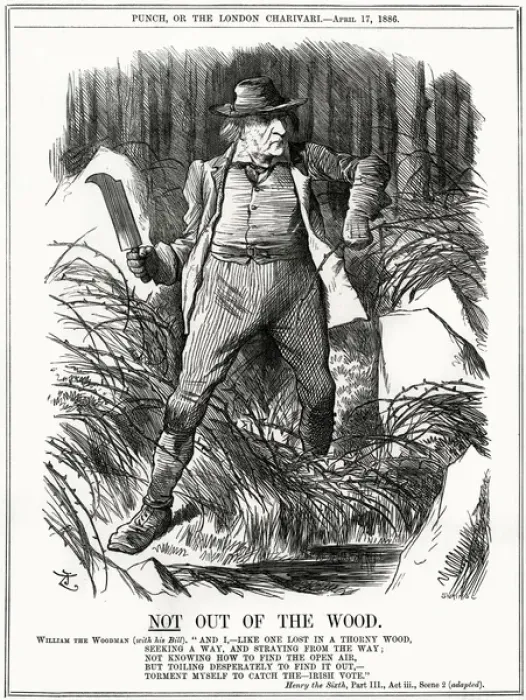 Framed Print : We Gladstone  /  Thorny Wood