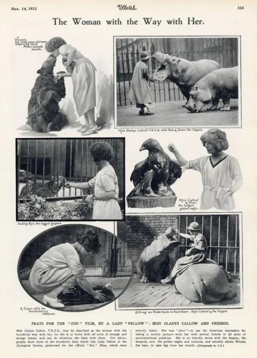 Framed Print : Gladys Callow, the woman with a way with her pictured with various animals at London Framed Print : Gladys Callow, the woman with a way with her pictured with various animals at London