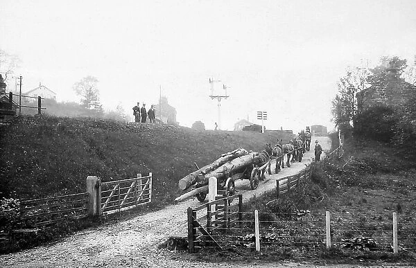 Glaisdale Railway Station hauling timber early 1900s