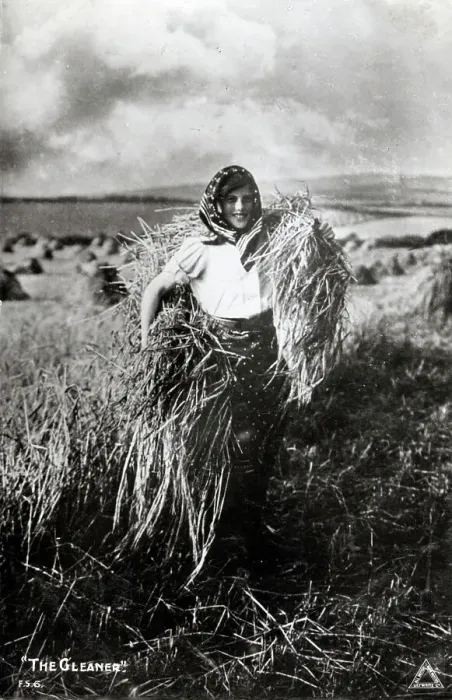Framed Print : The Gleaner - Harvest Time Framed Print : The Gleaner - Harvest Time