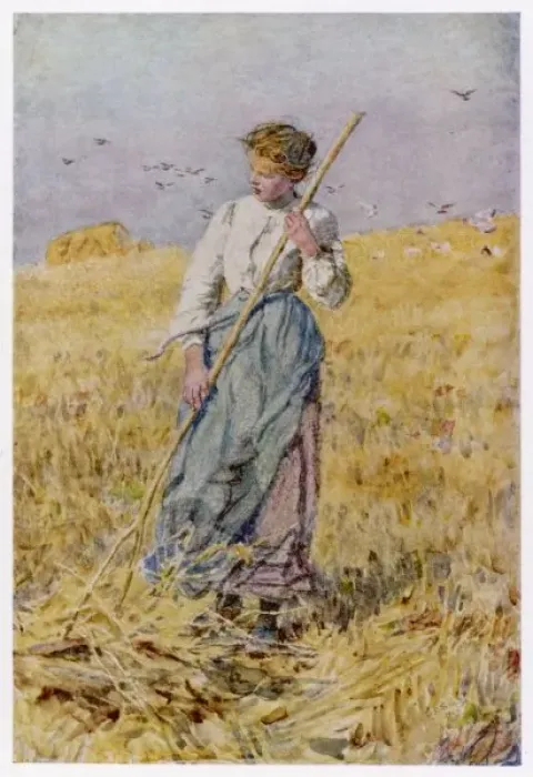 Framed Print : Gleaning Oats, France Framed Print : Gleaning Oats, France