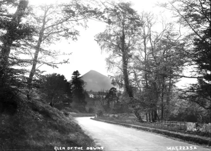 Framed Print : Glen of the Downs