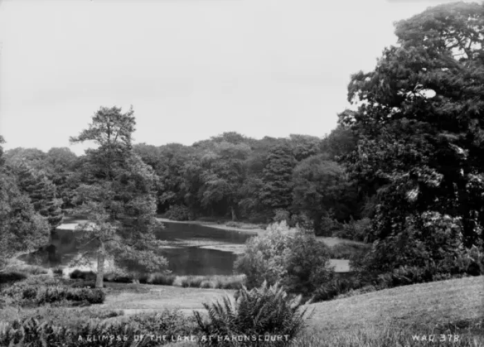 Framed Print : A Glimpse of the Lake at Baronscourt Framed Print : A Glimpse of the Lake at Baronscourt