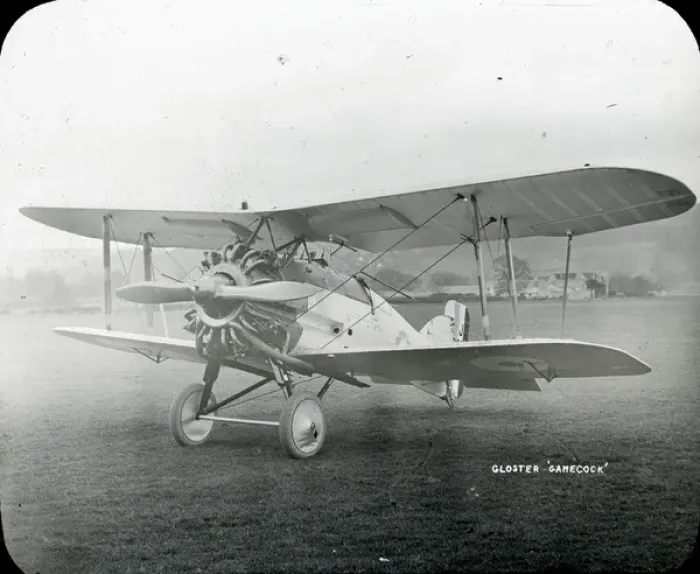 Framed Print : Gloster Gamecock Framed Print : Gloster Gamecock