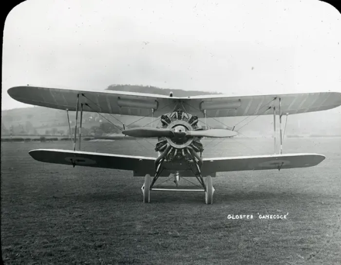 Framed Print : Gloster Gamecock Framed Print : Gloster Gamecock
