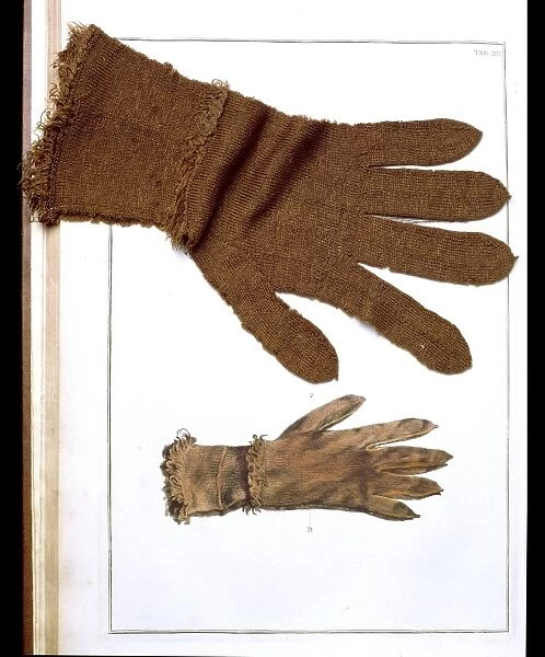 Glove made from the beard of Pinnor Marina