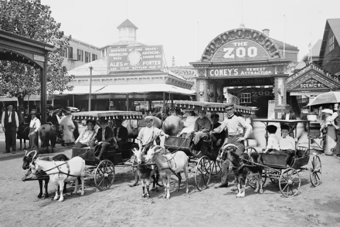 Framed Print : The Goat carriages, Coney Island Amusement Park, New York Framed Print : The Goat carriages, Coney Island Amusement Park, New York