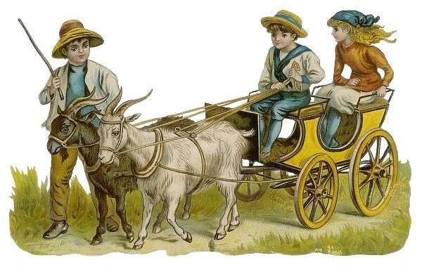 Goat-Cart - Scrap 2
