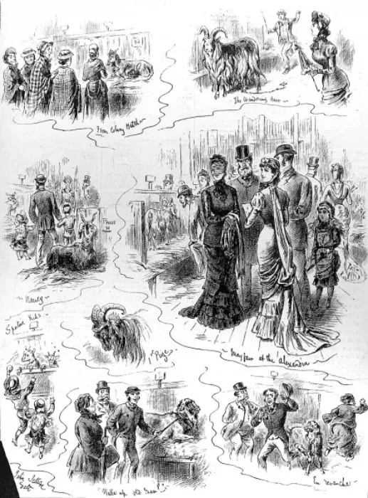 Framed Print : The Goat Show, Alexandra Palace, 1880 Framed Print : The Goat Show, Alexandra Palace, 1880