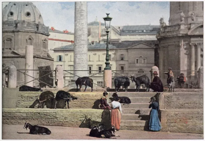 Framed Print : Goats roam the Forum of Trajan. Date: 1890s Framed Print : Goats roam the Forum of Trajan. Date: 1890s