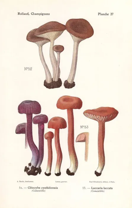 Framed Print : Goblet funnel cap and the deceiver