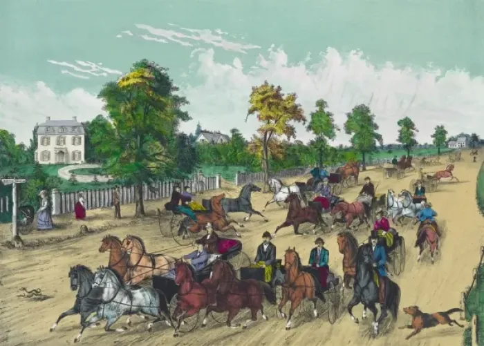 Framed Print : Going to the trot