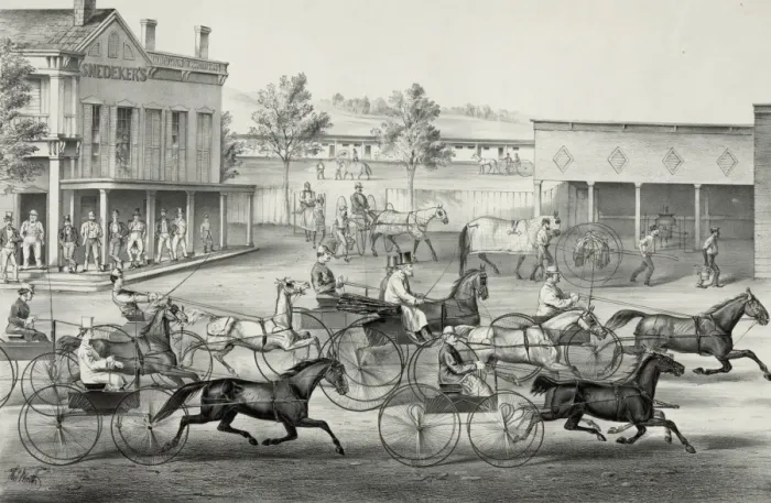 Framed Print : Going to the trot: a good day and good track Framed Print : Going to the trot: a good day and good track