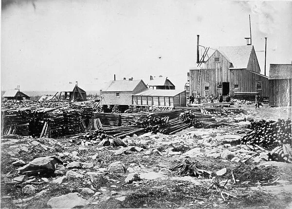 Gold Mine, Nova Scotia, Halifax 1873