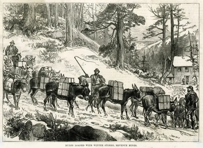 Framed Print : GOLD MINING / COLORADO Framed Print : GOLD MINING / COLORADO