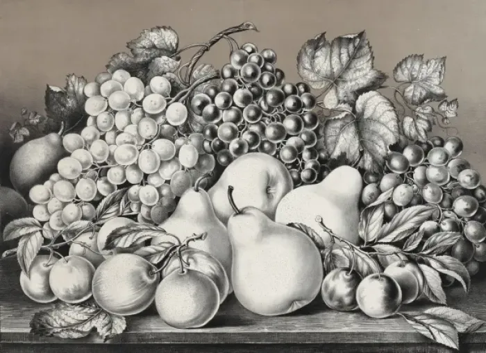 Framed Print : Golden fruits of California Framed Print : Golden fruits of California