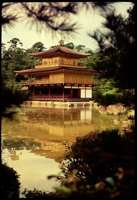 Framed Print : Golden Pavillion Kyoto, Japan Framed Print : Golden Pavillion Kyoto, Japan