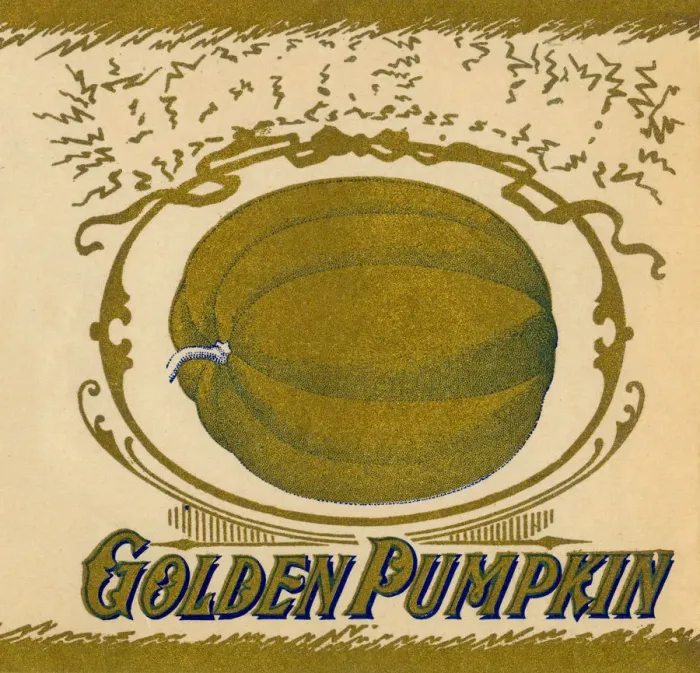 Framed Print : Golden Pumpkin Label Framed Print : Golden Pumpkin Label