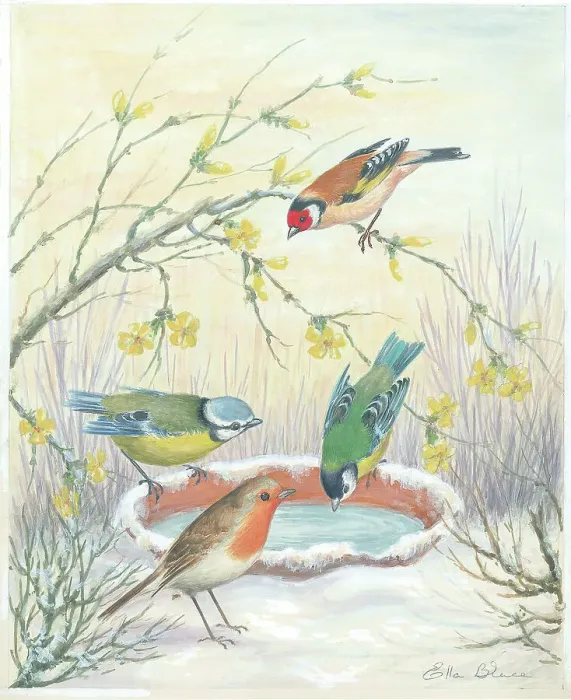 Framed Print : Goldfinch Blue Tit Great and Robin British Birds Framed Print : Goldfinch Blue Tit Great and Robin British Birds