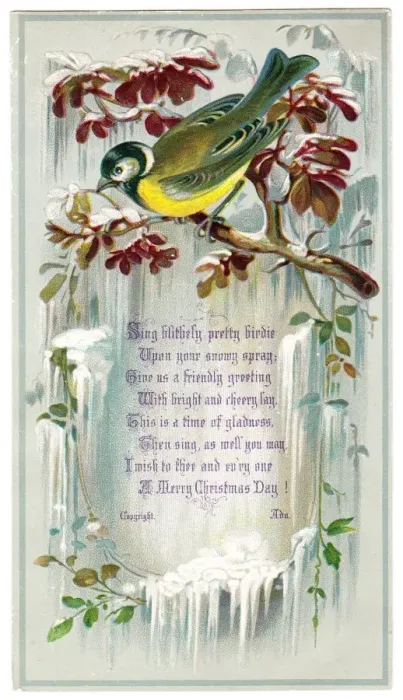 Framed Print : Goldfinch on a Christmas card Framed Print : Goldfinch on a Christmas card