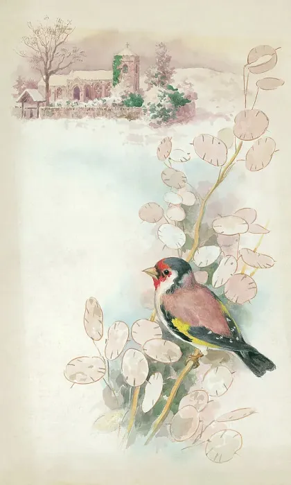 Framed Print : Goldfinch and church Framed Print : Goldfinch and church