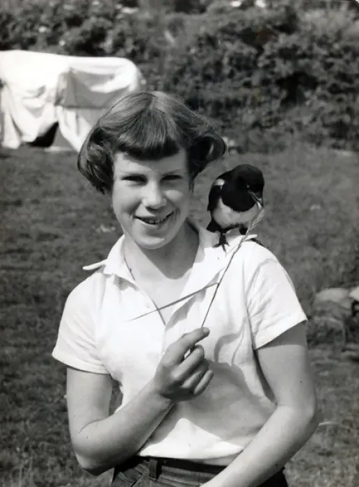 Framed Print : Goldie Fraser with tame Magpie Sammy Framed Print : Goldie Fraser with tame Magpie Sammy