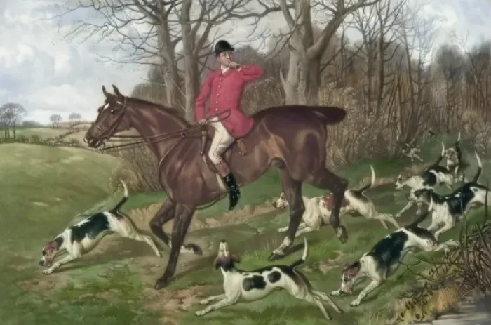 Framed Print : Gone away. Man on horseback, with dogs, fox hunting. Date c1931 Framed Print : Gone away. Man on horseback, with dogs, fox hunting. Date c1931