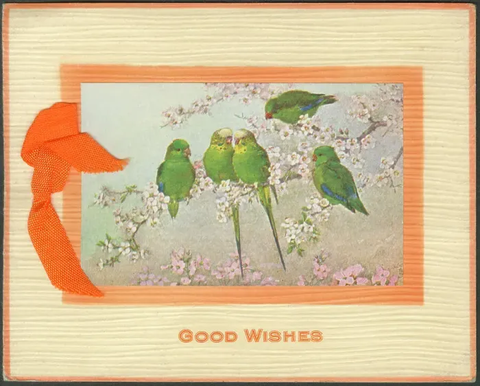 Framed Print : Good Wishes Greetings Card featuring five budgerigars Framed Print : Good Wishes Greetings Card featuring five budgerigars