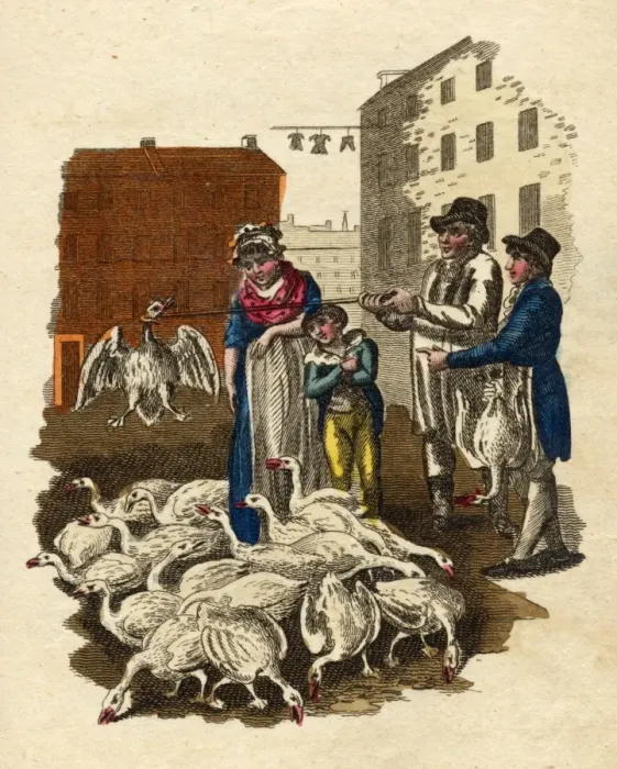 Framed Print : Goose / Cries of London Framed Print : Goose / Cries of London