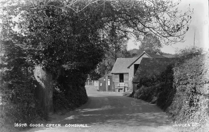 Framed Print : Goose Green, Gomshall Framed Print : Goose Green, Gomshall