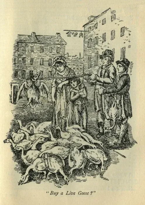 Framed Print : Goose seller Framed Print : Goose seller