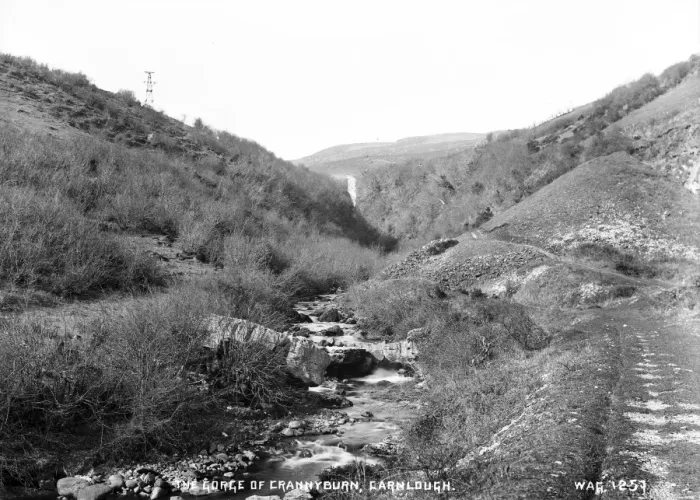 Framed Print : The Gorge of Crannyburn, Carnlough Framed Print : The Gorge of Crannyburn, Carnlough