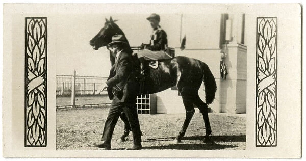 Gothic, Australian race horse