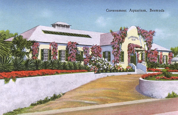 The Government Aquarium, Bermuda