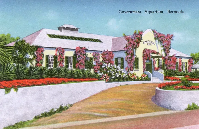Framed Print : The Government Aquarium, Bermuda Framed Print : The Government Aquarium, Bermuda