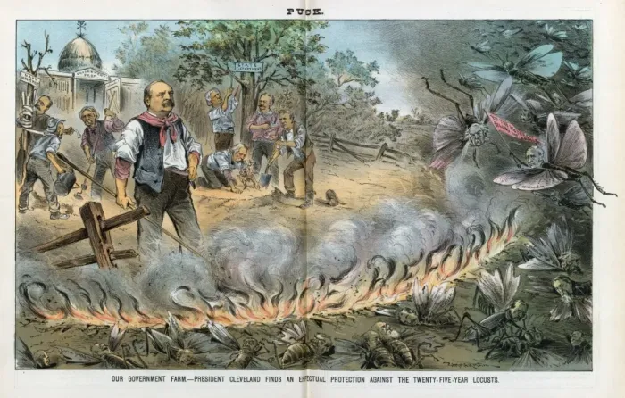 Framed Print : Our government farm - President Cleveland finds an effectual Framed Print : Our government farm - President Cleveland finds an effectual