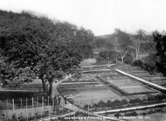 Framed Print : The Governors Kitchen Garden, Bermuda 1873 Framed Print : The Governors Kitchen Garden, Bermuda 1873