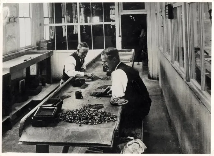 Framed Print : GRADING DIAMONDS Framed Print : GRADING DIAMONDS