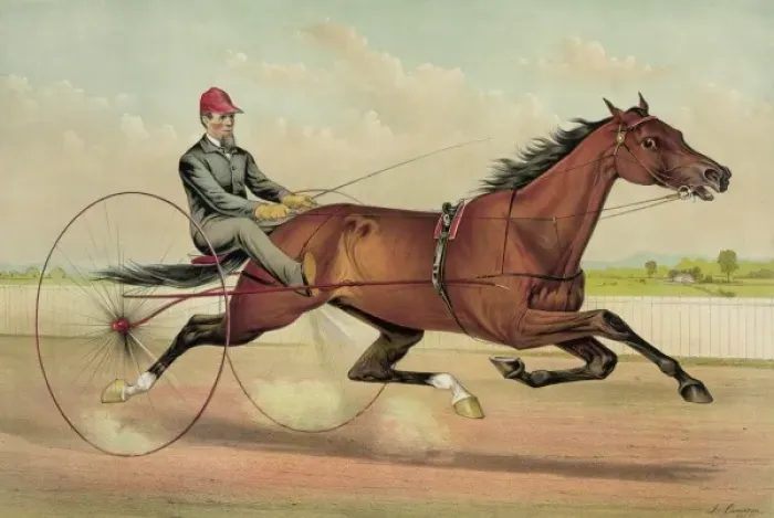 Framed Print : The grand trotter Clingstone, driven by G. H. Saunders: by Ry Framed Print : The grand trotter Clingstone, driven by G. H. Saunders: by Ry