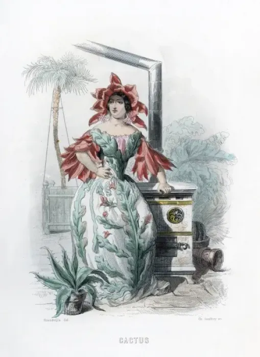 Framed Print : Grandville Cactus 1847 Framed Print : Grandville Cactus 1847