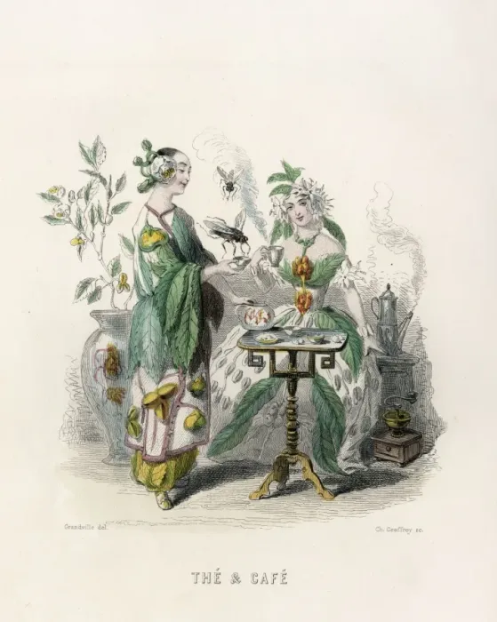 Framed Print : Grandville Tea Coffee Framed Print : Grandville Tea Coffee